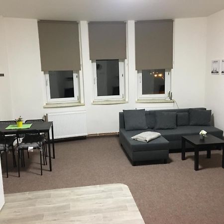 Apartmany U Muzea ديشين المظهر الخارجي الصورة