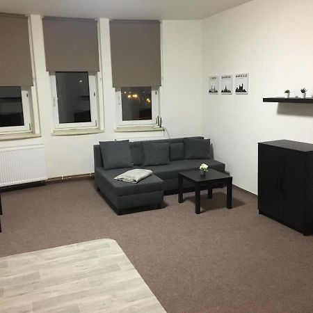 Apartmany U Muzea ديشين المظهر الخارجي الصورة