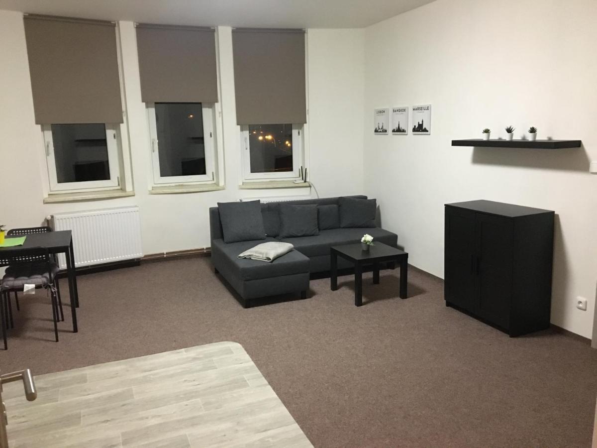 Apartmany U Muzea ديشين المظهر الخارجي الصورة