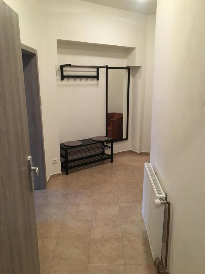 Apartmany U Muzea ديشين المظهر الخارجي الصورة