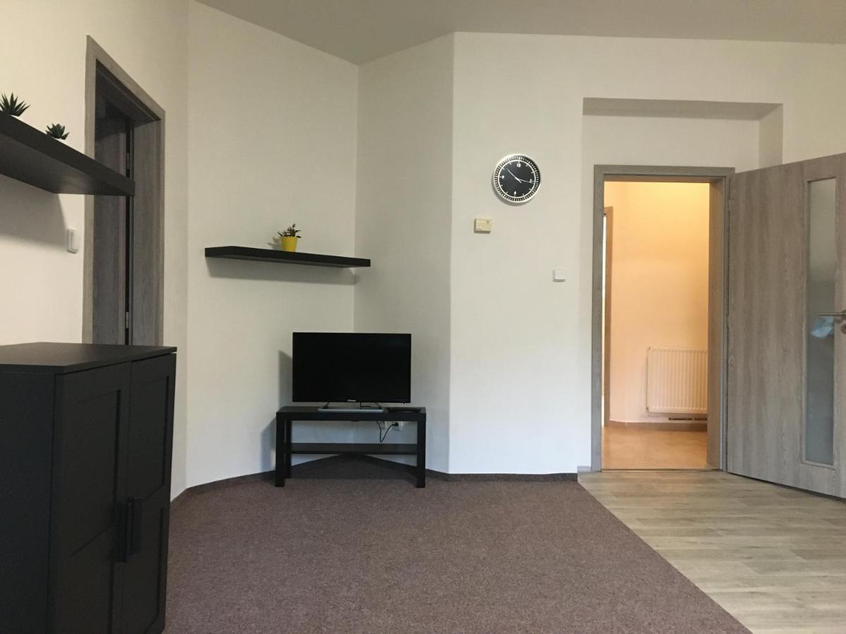 Apartmany U Muzea ديشين المظهر الخارجي الصورة