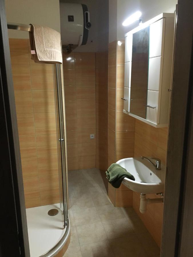 Apartmany U Muzea ديشين المظهر الخارجي الصورة