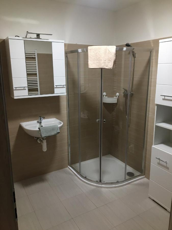 Apartmany U Muzea ديشين المظهر الخارجي الصورة
