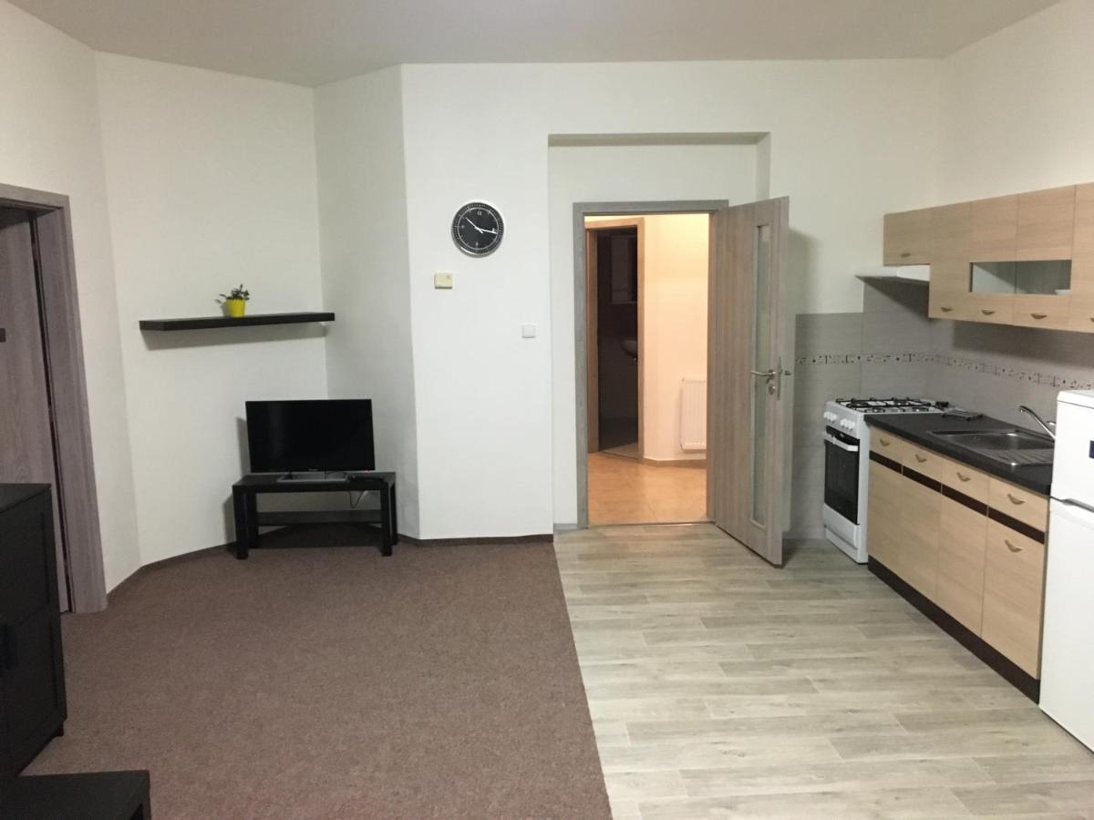Apartmany U Muzea ديشين المظهر الخارجي الصورة