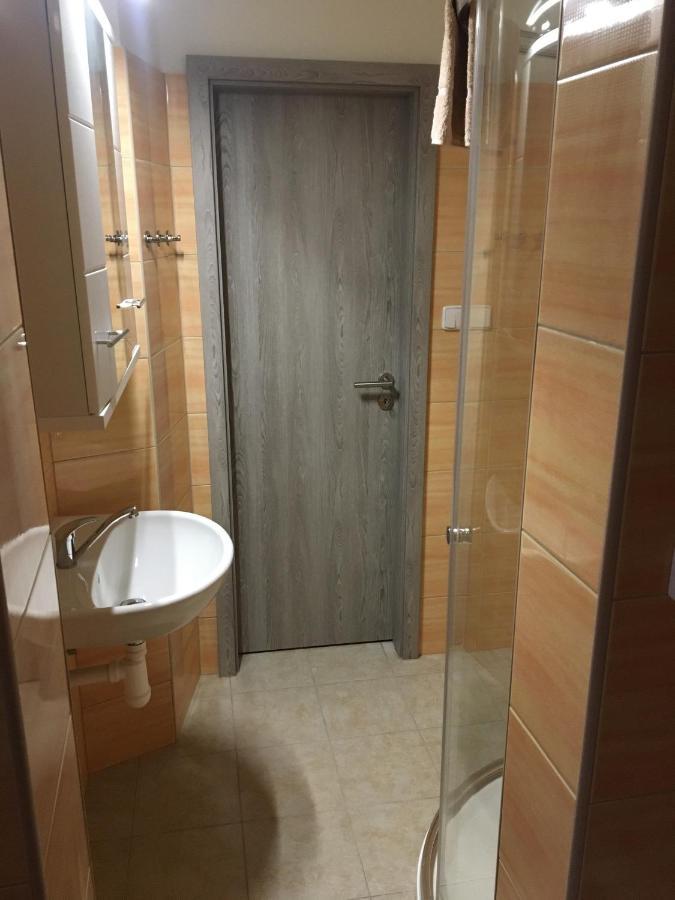 Apartmany U Muzea ديشين المظهر الخارجي الصورة