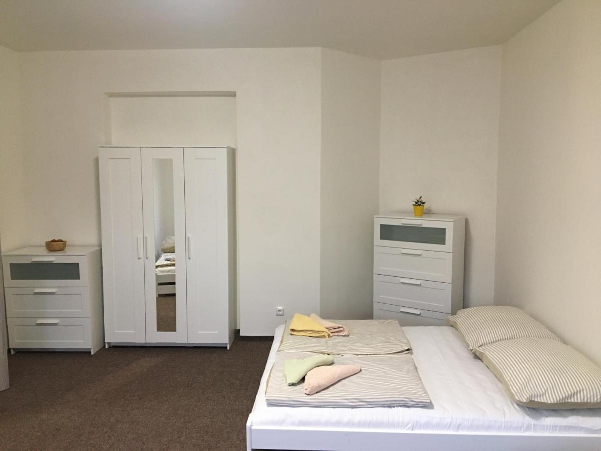 Apartmany U Muzea ديشين المظهر الخارجي الصورة