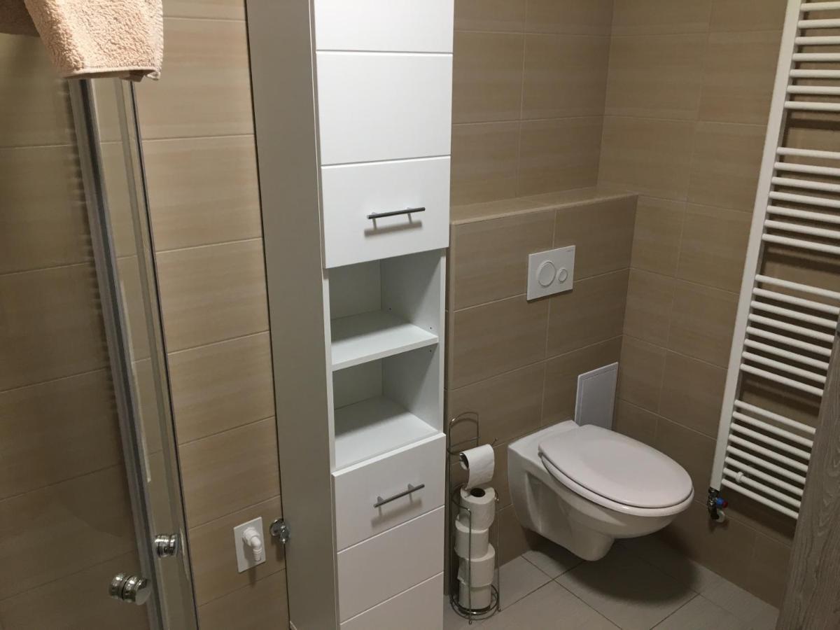 Apartmany U Muzea ديشين المظهر الخارجي الصورة