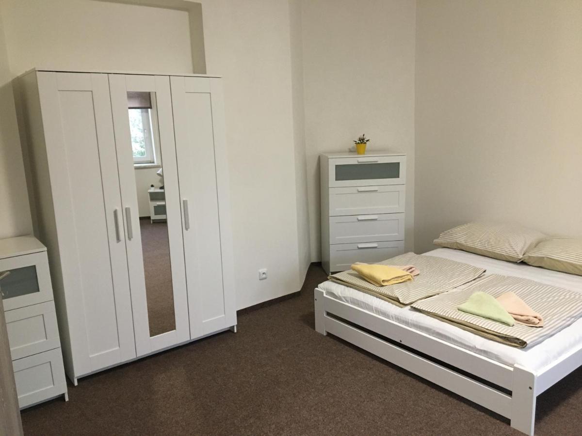 Apartmany U Muzea ديشين المظهر الخارجي الصورة