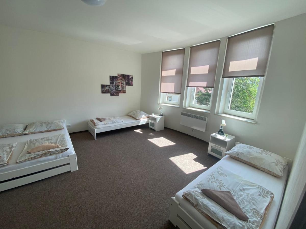 Apartmany U Muzea ديشين المظهر الخارجي الصورة